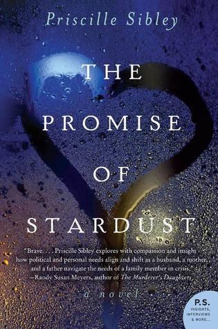 The Promise Of Stardust by Priscille Sibley