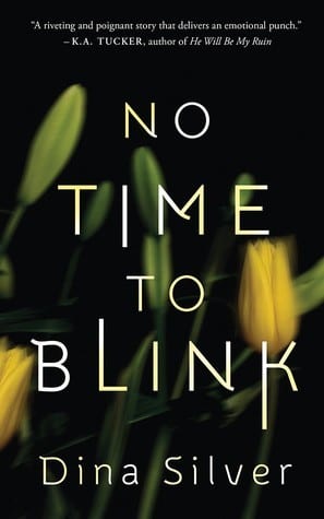 No Time to Blink by Dina Silver