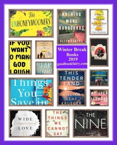 Winter Break Books For On A Plane or On Your Couch